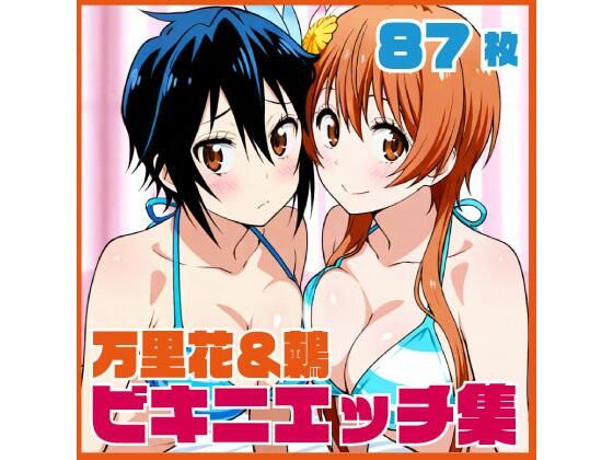 万里花＆鶫 お部屋でビキニエッチCG集の商品画像