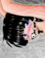 Vivace on line d_pa1478のパッケージ画像 Vivace on line d_pa1478のパッケージ画像