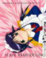 Slave remodeling d_pa1498のパッケージ画像 Slave remodeling d_pa1498のパッケージ画像