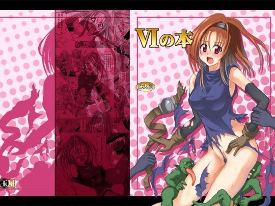 VIの本