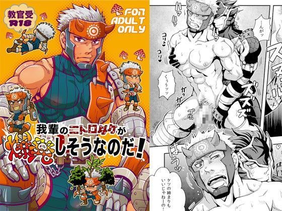 我輩のニトロダケが爆発しそうなのだ