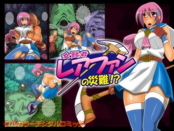 女賢者レアファンの災難のジャケット