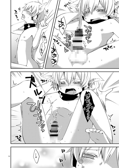 ねこコノハのじじょう