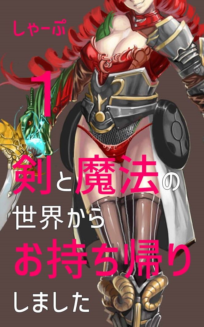 剣と魔法の世界からお持ち帰りしました1