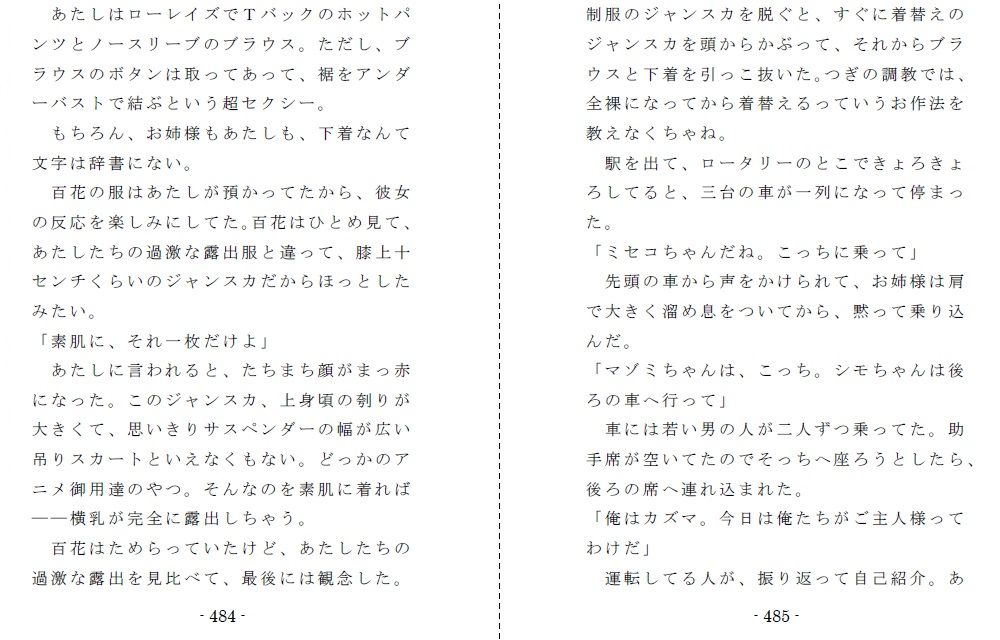 縄と鞭の体育補習のサンプル画像 6