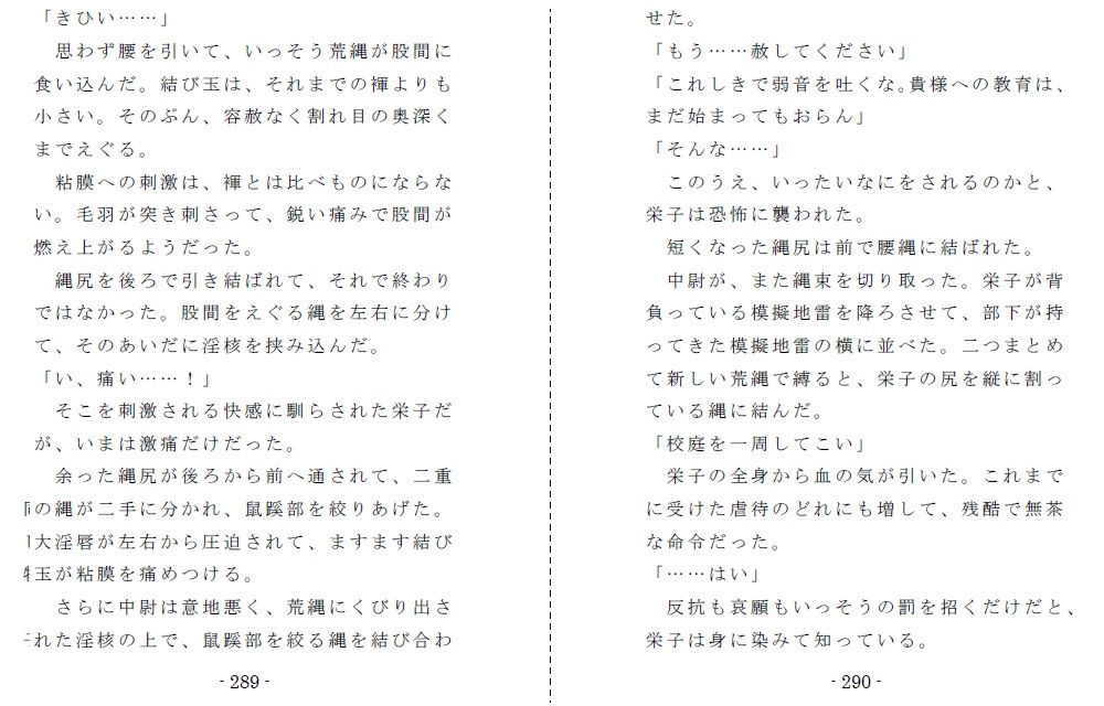 サンプル画像5:非国民の烙淫:前編（強制露出と娼婦教育） [作品ID:d_123815]