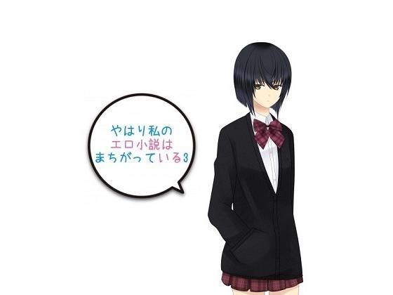私のエロ小説はまちがっている3のジャケット