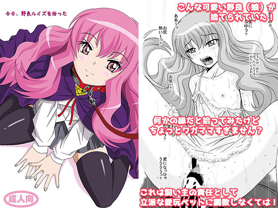 今日、野良ルイズを拾った無料サンプル画像