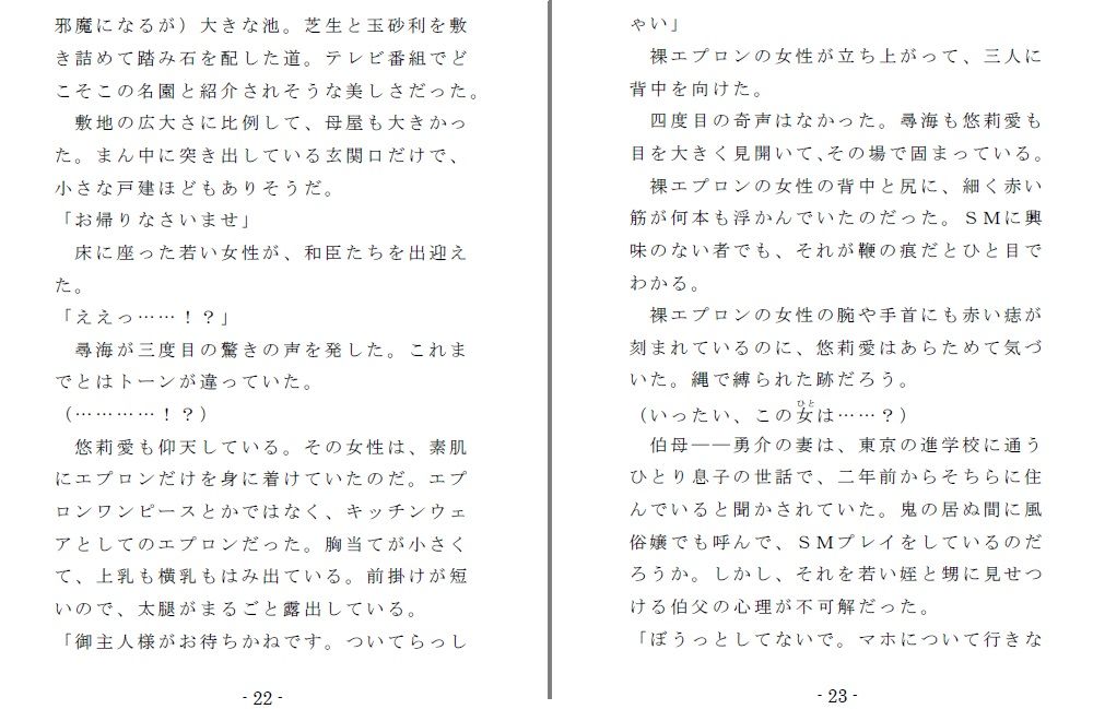 姪奴と甥奴(前編)〜繁殖奴●にされる姉と男の娘に改造される弟のサンプル画像 4