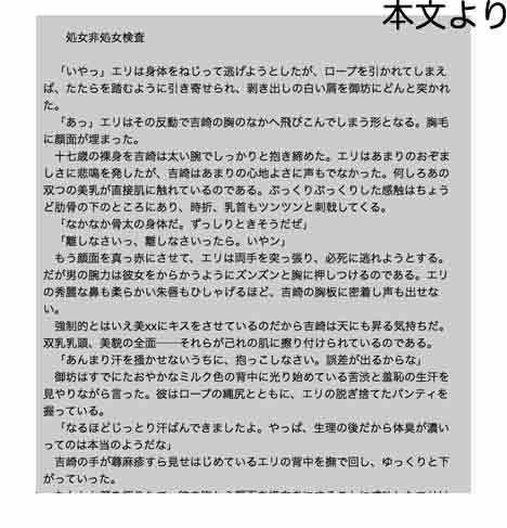 サンプル画像2:secret police 海猫02 [作品ID:d_131411]