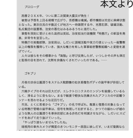 サンプル画像1:secret police 海猫03 [作品ID:d_132201]