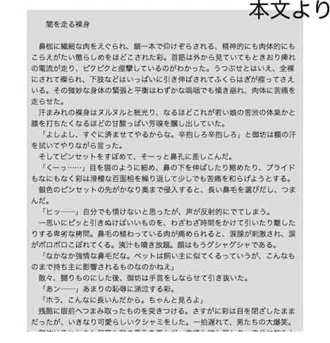 サンプル画像2:secret police 海猫03 [作品ID:d_132201]