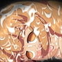 嬲り懲罰 d_132813のパッケージ画像 嬲り懲罰 d_132813のパッケージ画像