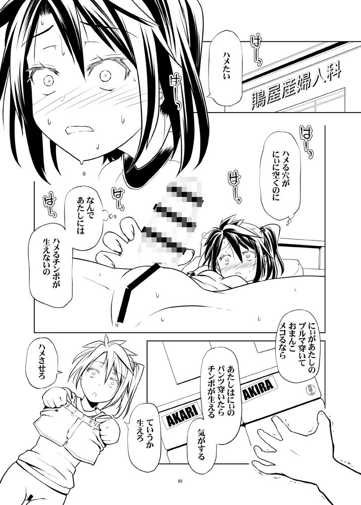 サンプル画像1:あきらちゃんとあかりちゃんは変態双子concept [作品ID:d_133469]