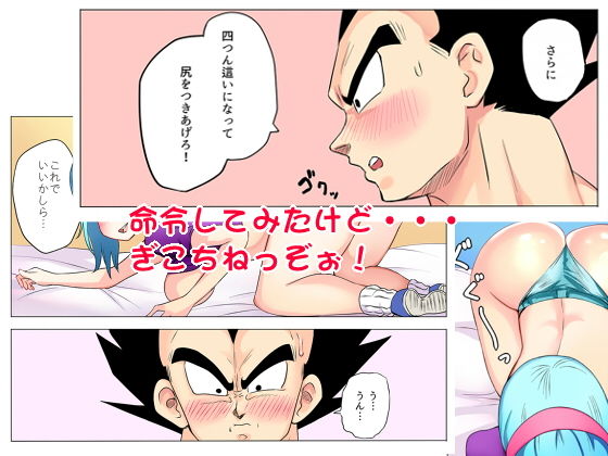 ブルマが寂しそうなベジータをみてついなんとなくな本画像no.6