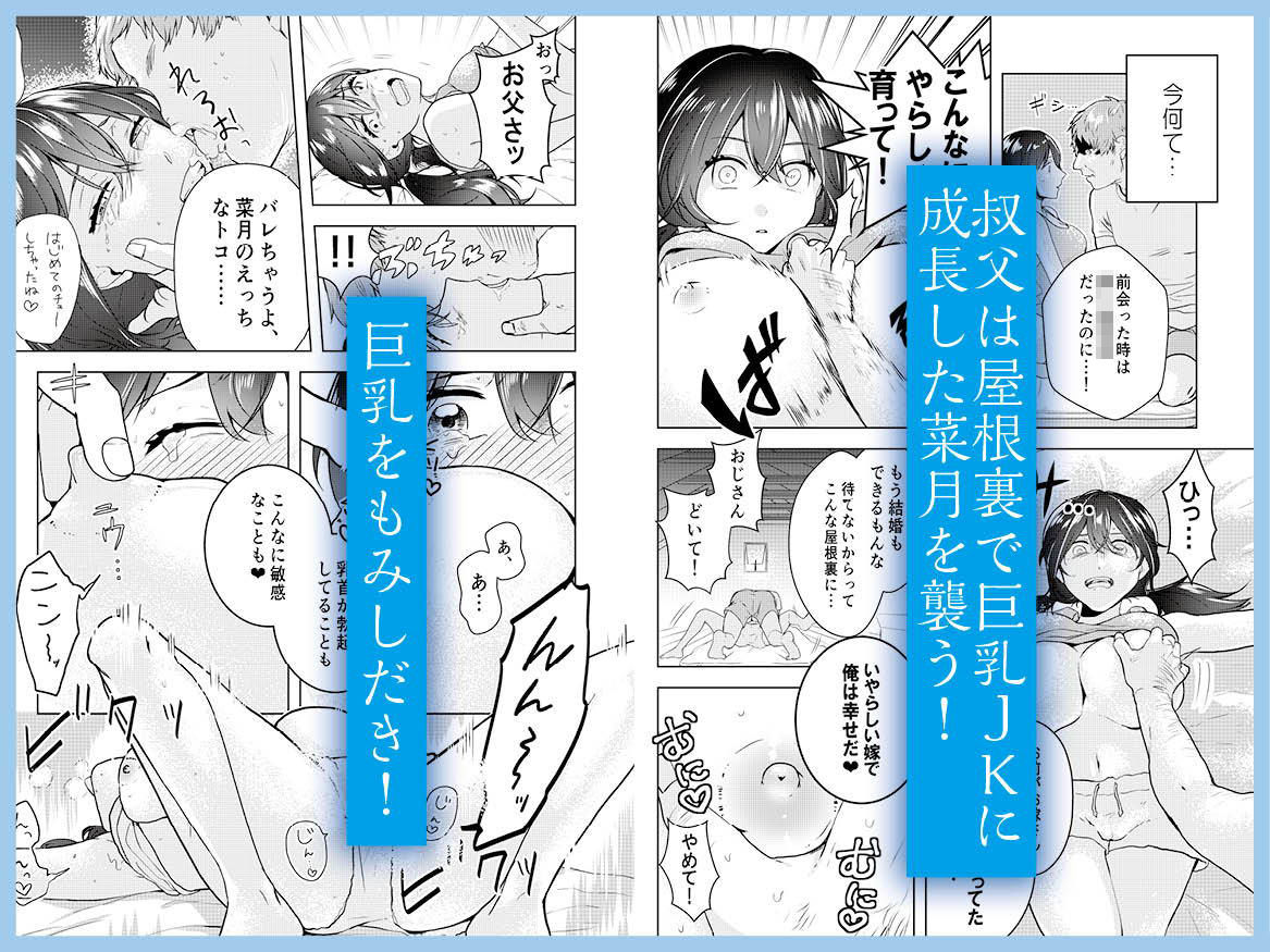 サンプル画像2:巨乳JKシリーズ 1 菜月の夏休み (ぷるるん) [d_135423]