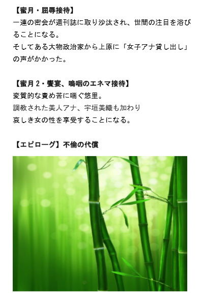 女子アナ密会 ~生々しき熱を帯びた竹林~