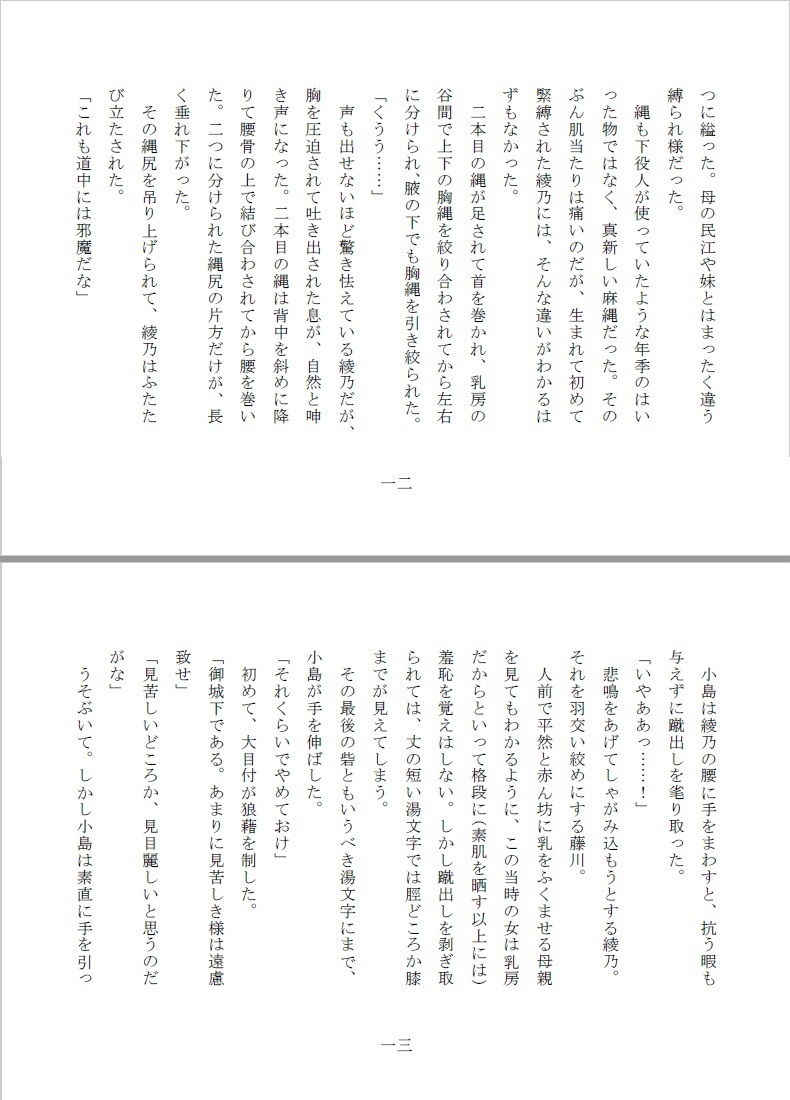 サンプル画像3:全裸縄付道中(SMX工房) [d_135754]