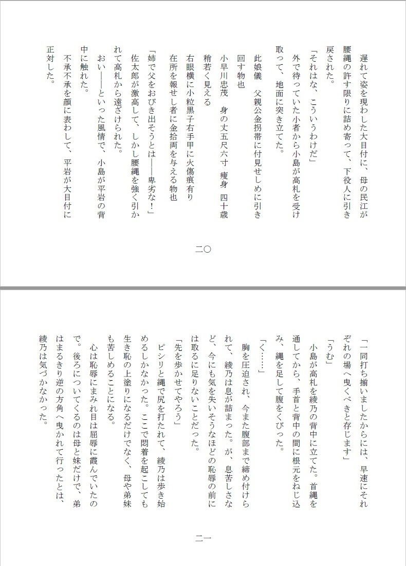 サンプル画像4:全裸縄付道中(SMX工房) [d_135754]