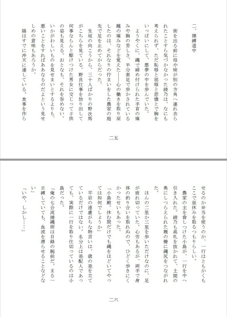 サンプル画像5:全裸縄付道中(SMX工房) [d_135754]