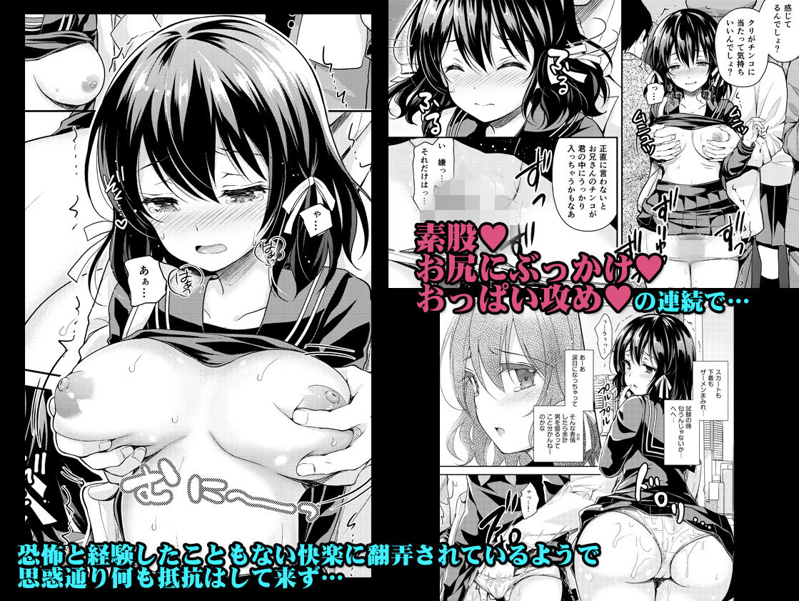 サンプル画像2:恥辱の痴○電車2～狙われた受験生～(Sugar＊Berry＊Syrup) [d_136616]