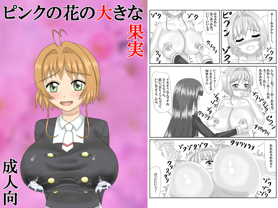 サンプル画像1:ピンクの花の大きな果実(ダチョウの羽毛) [d_137383]