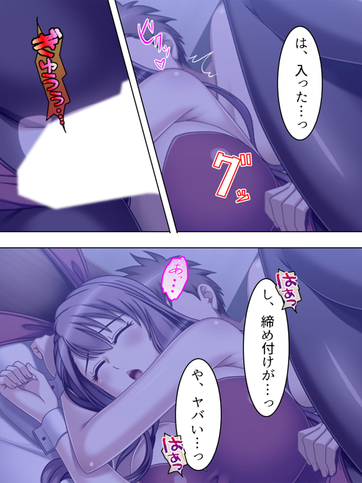 サンプル画像1:薬を使って、寝ている間だけ義母と妹を俺のモノにする 2巻(悶々堂) [d_138335]