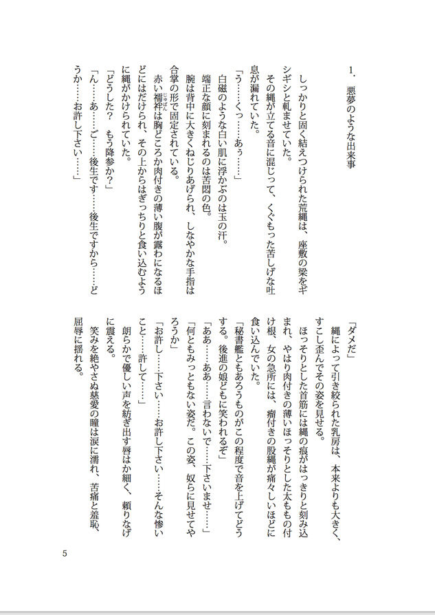 サンプル画像5:秘書艦鳳翔縄地獄(不可思議) [d_138789]