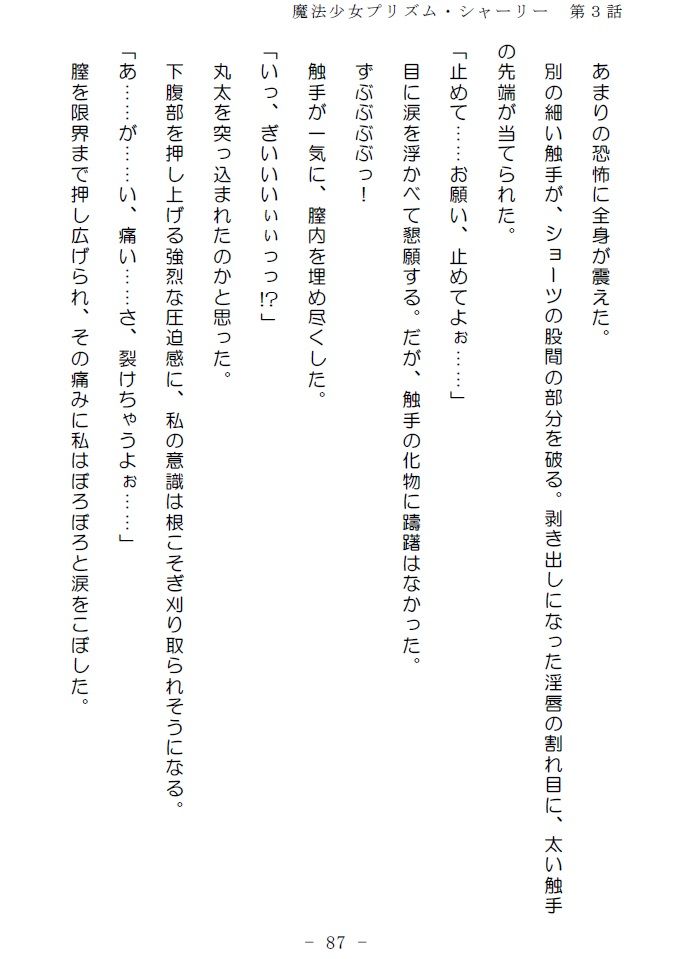 サンプル画像3:魔法少女プリズム・シャーリー3 決戦に赴く魔法少女 ～待ち受けるは絶望と快楽の宴～(No Future) [d_139309]