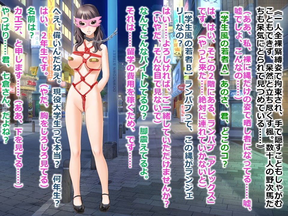 サンプル画像3:女子大生・楓2 ～露出調教編～(myuyan) [d_141417]