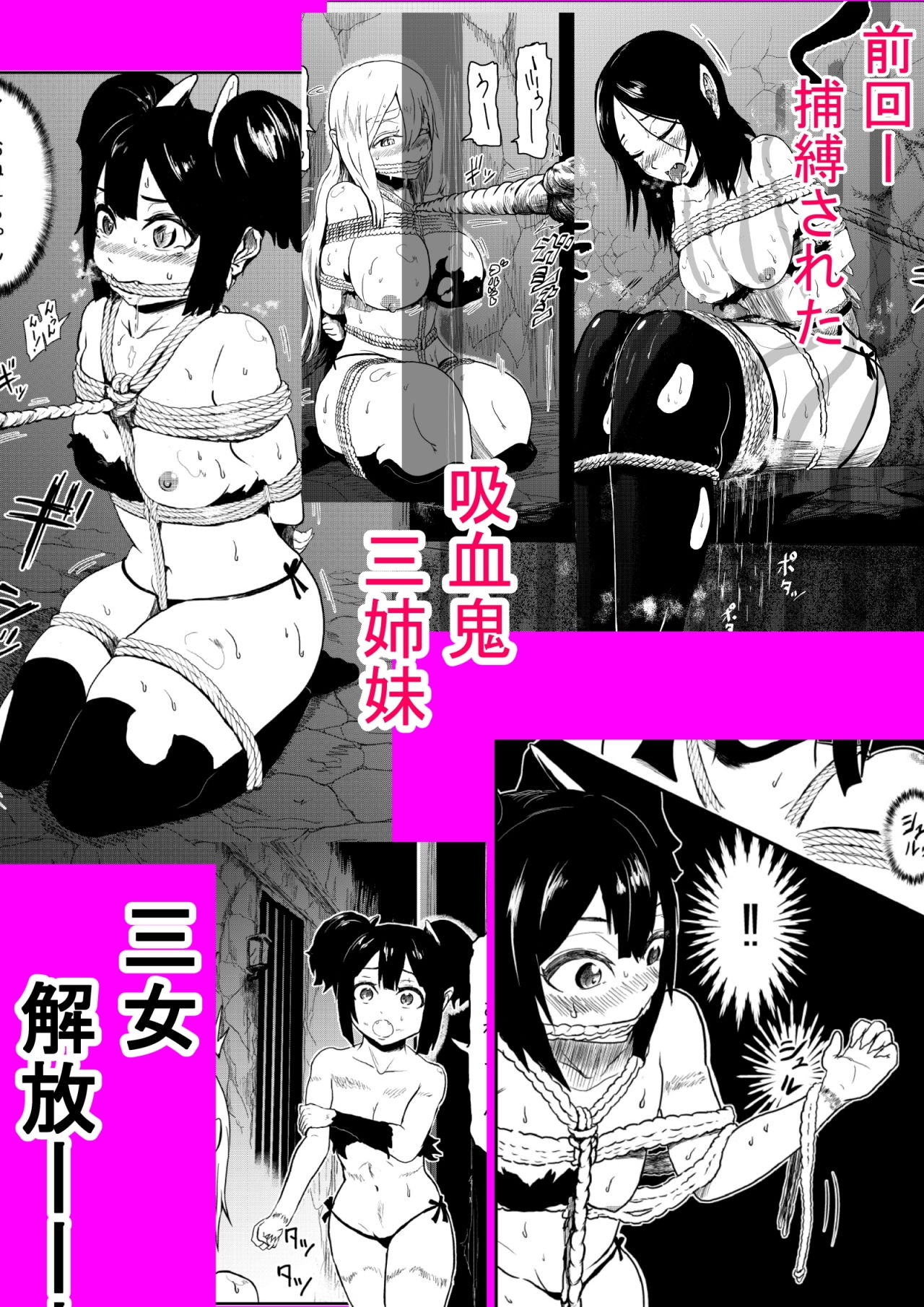 ヴァンパレイド2 ~吸血鬼 三姉妹 捕縛編~画像no.2