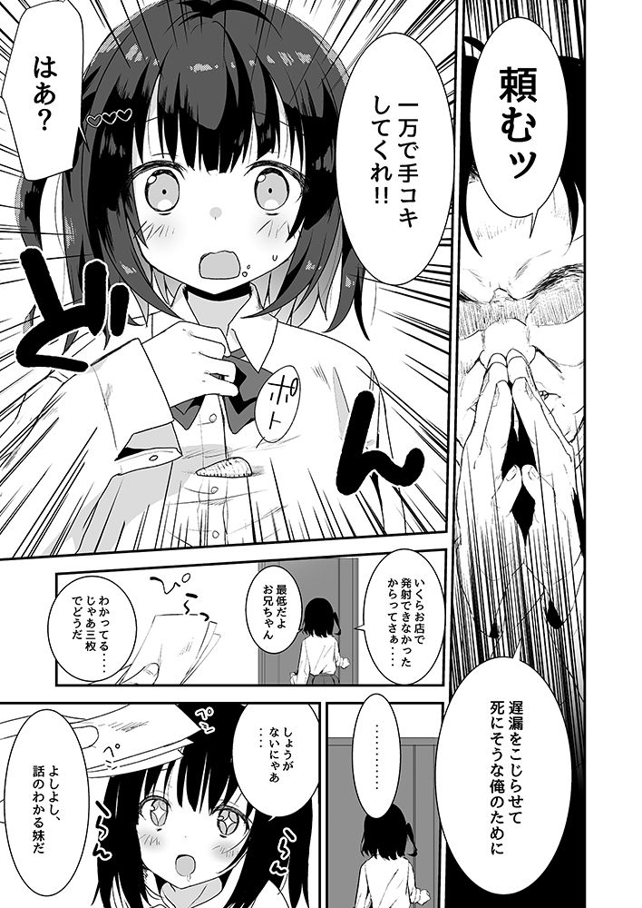 サンプル画像5:JK(ハイムミント) [d_147203]