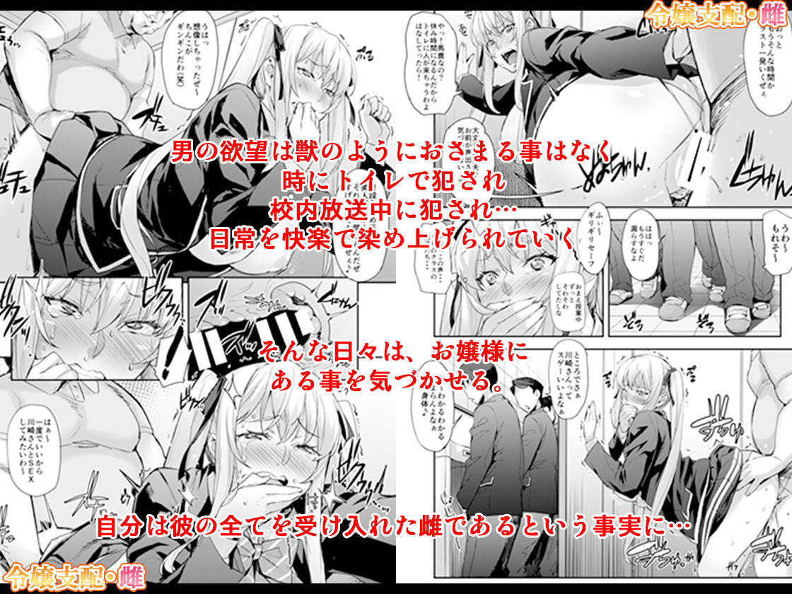 サンプル画像4:「令嬢支配 ＋ 令嬢支配・雌」セット(みっくすふらい) [d_147601]