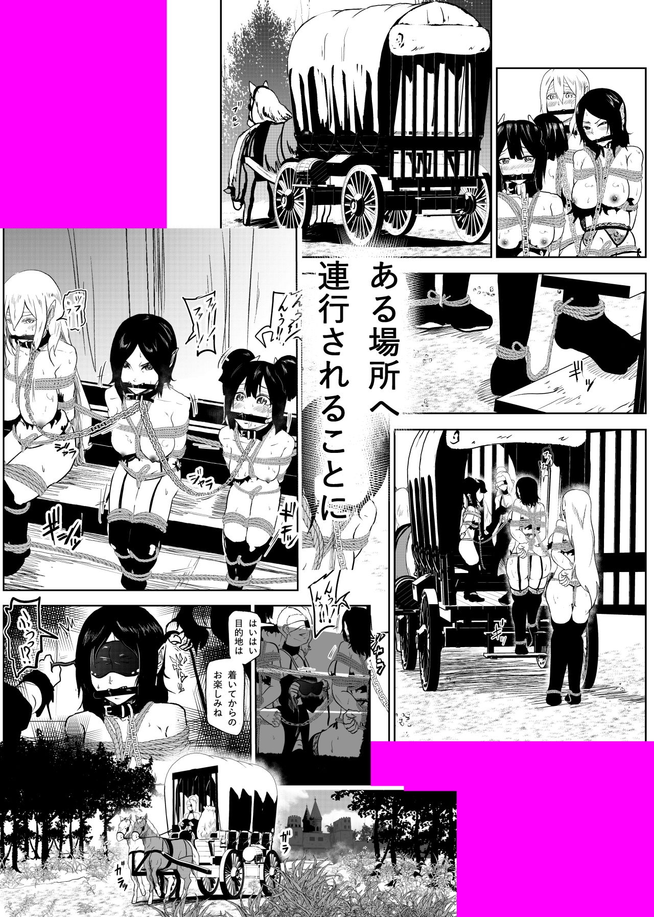 サンプル画像4:ヴァンパレイド4 ～吸血鬼 三姉妹 捕縛編～(トンテン) [d_148226]