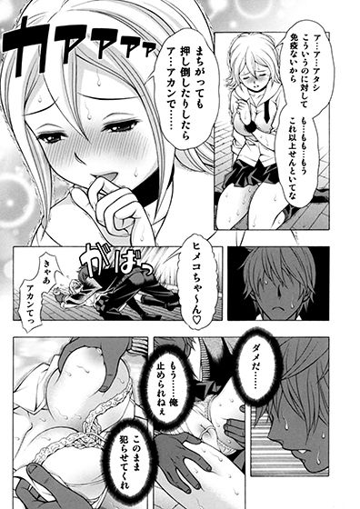 サンプル画像3:ヒメデジ(精心堂) [d_148617]