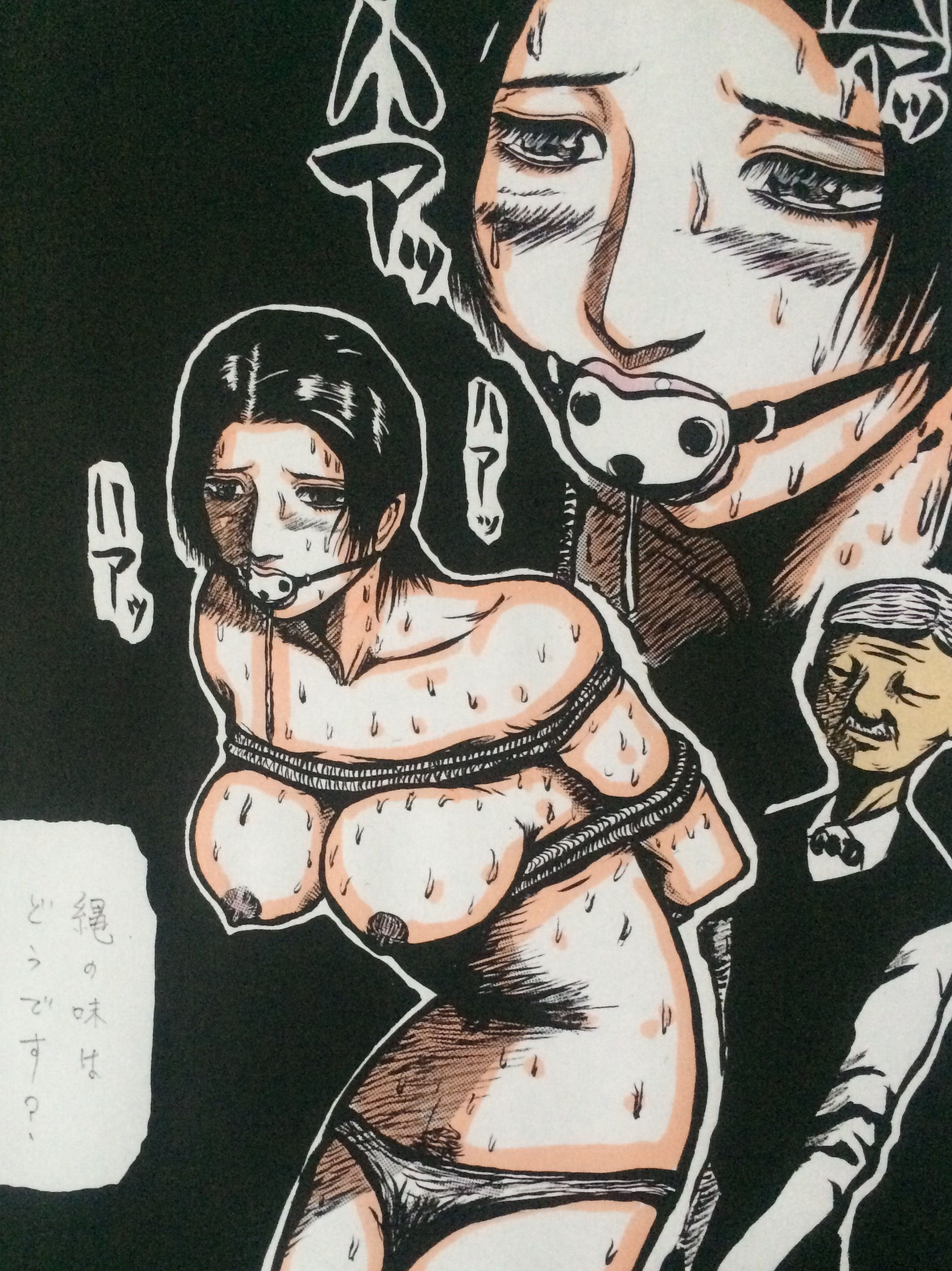 サンプル画像2:捕らわれた人妻(N-zumi-ha) [d_148690]