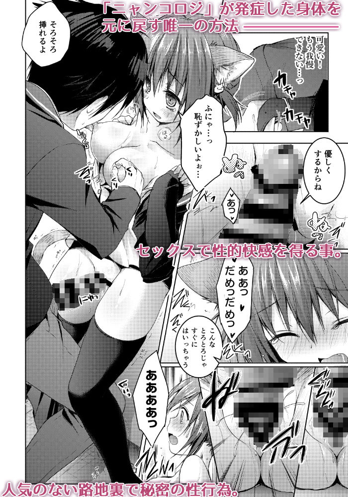 サンプル画像2:ニャンコロジ1.01 -帰ってきた猫田さんの秘密-(きのこのみ) [d_148757]