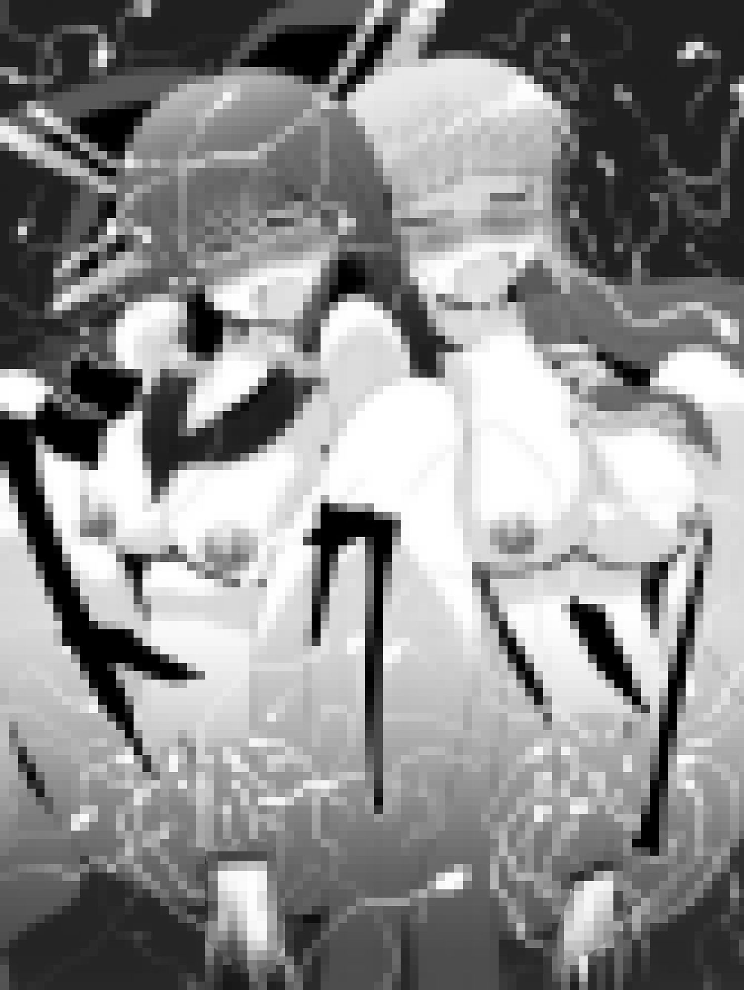 サンプル画像5:霊夢さんのきもちいいアルバイト(しからずんば堂) [d_149292]