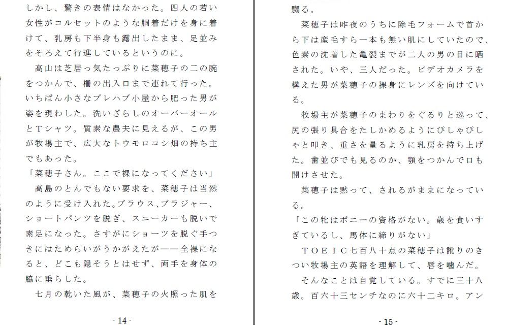 サンプル画像2:ドンキーガール （EPISODE 2）(SMX工房) [d_149408]