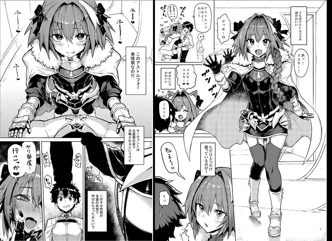 サンプル画像1:Astolfo×Astolfo(メメ屋) [d_150399]