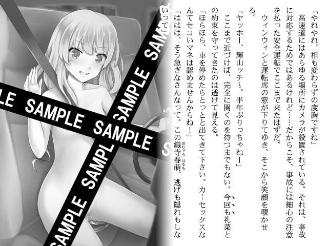 サンプル画像3:忍者と作ったゲームの会社(空色書房) [d_151602]