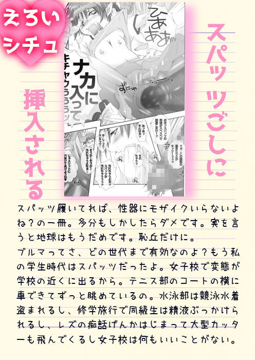 サンプル画像1:29_ぬこぬこむすめ 12.5(PLECO) [d_151870]