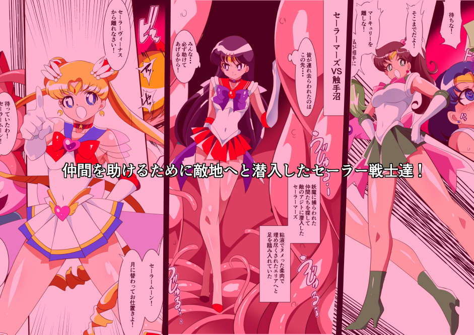 サンプル画像1:セーラー戦士の苦難(ワラビモチー) [d_153020]