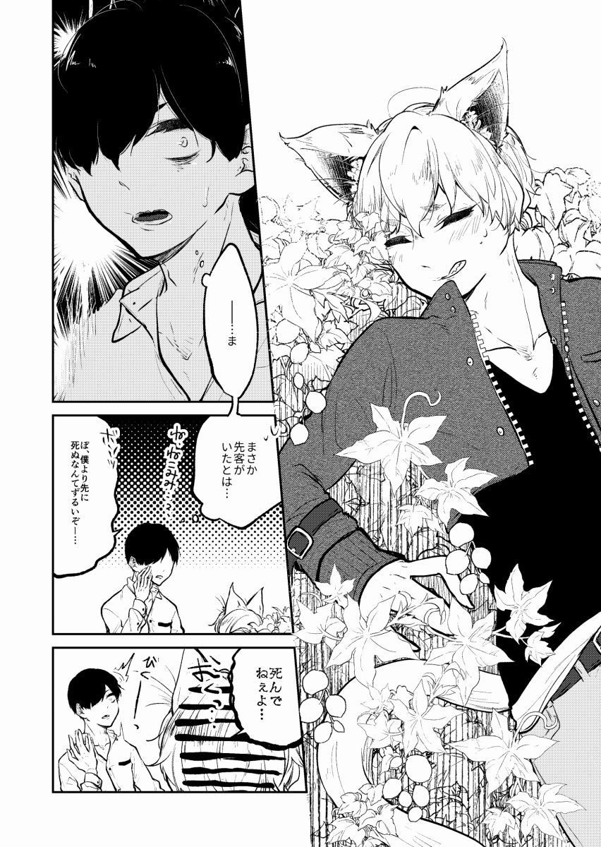 発熱と交情