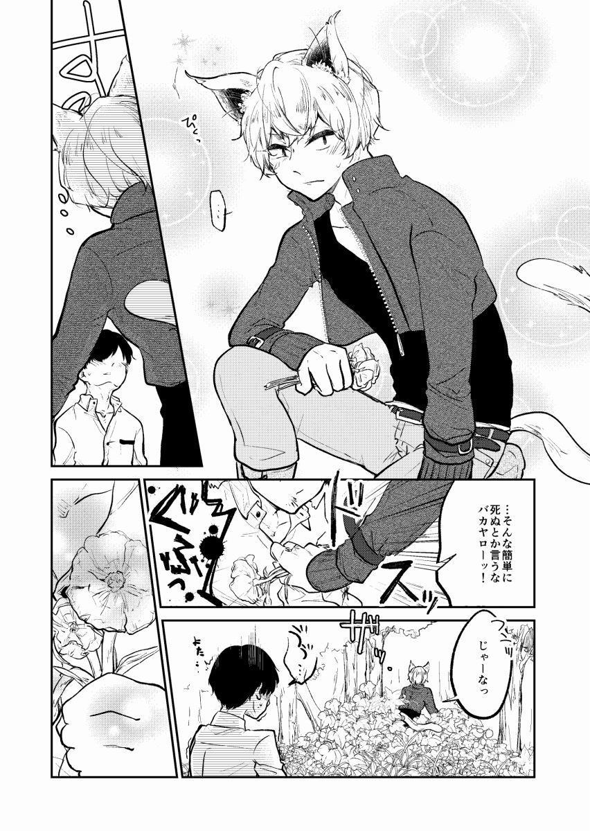 発熱と交情