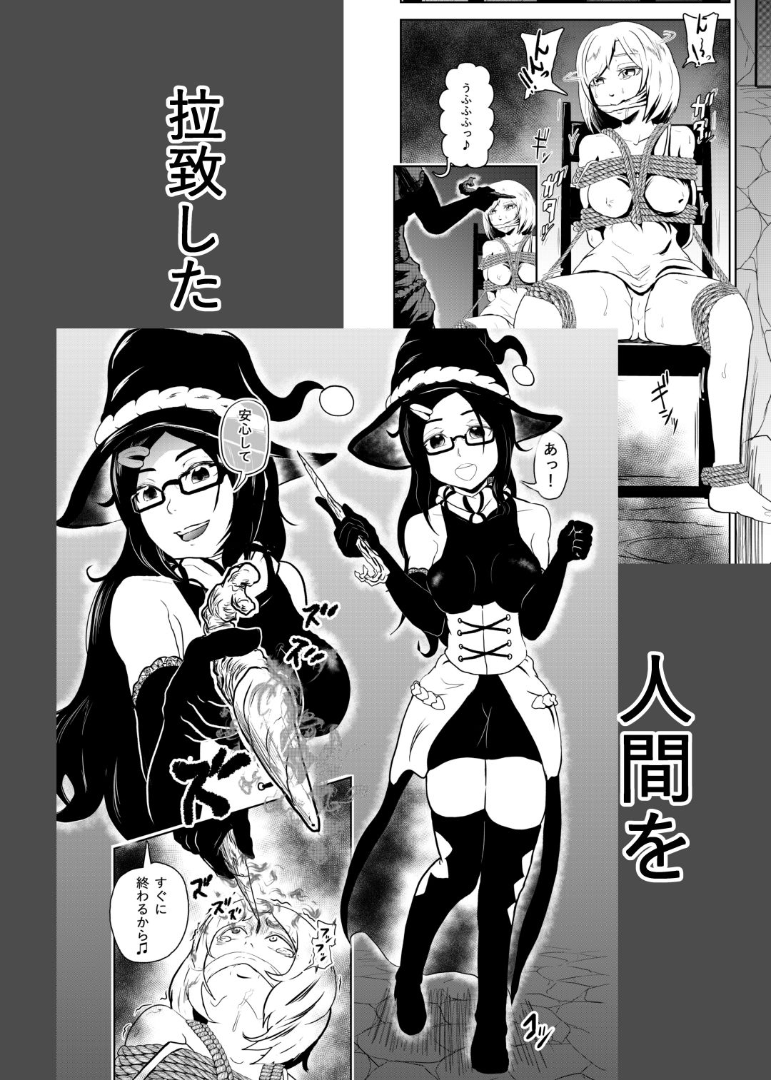 サンプル画像2:えろ拷問日誌(トンテン) [d_155375]