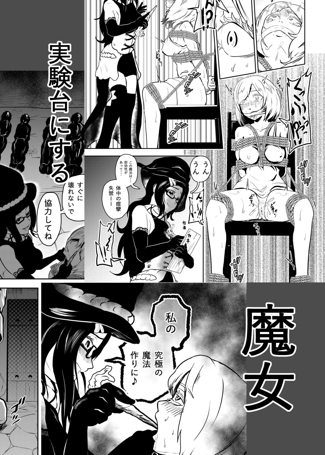 サンプル画像3:えろ拷問日誌(トンテン) [d_155375]