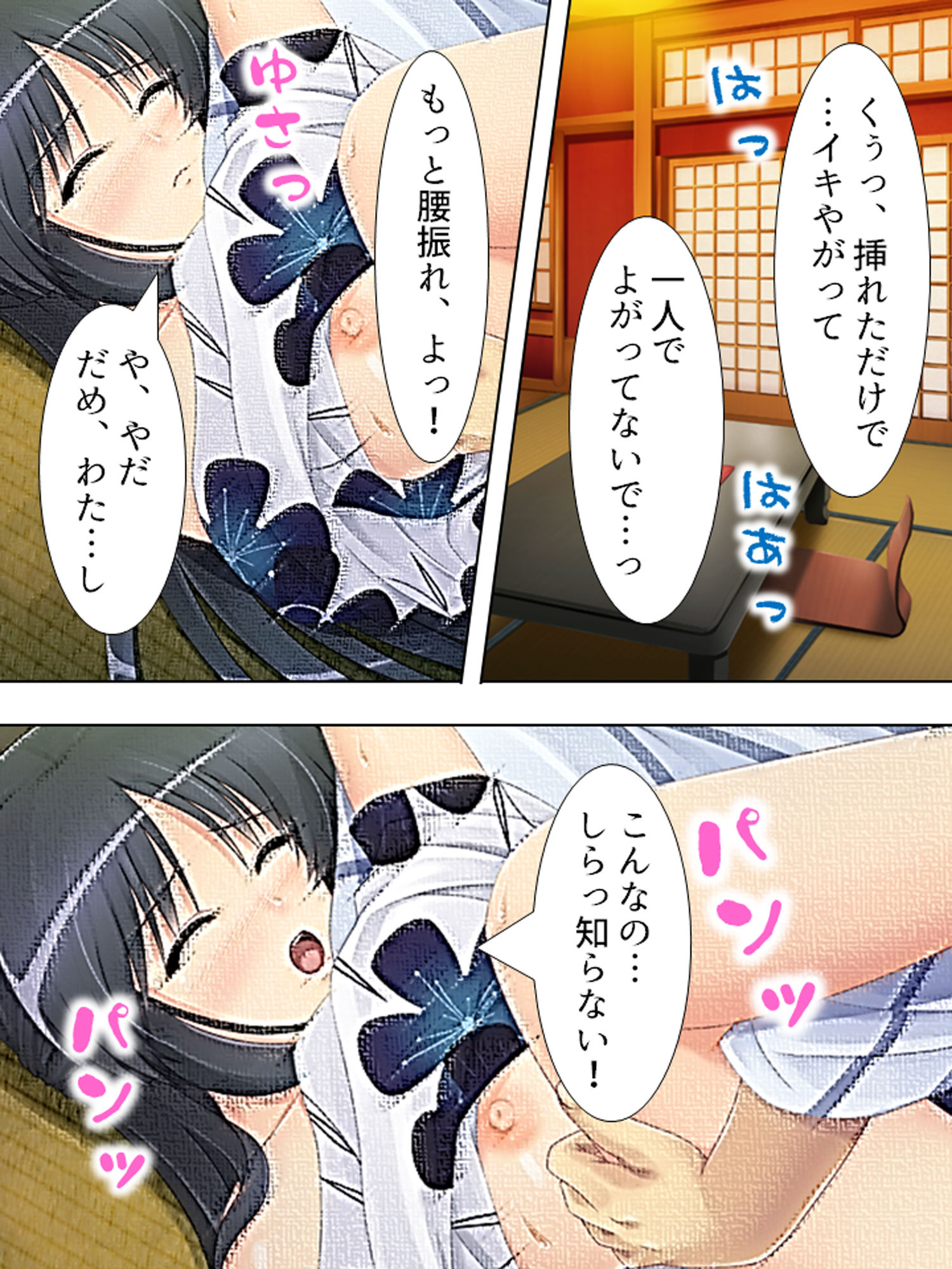 泥酔した姉との一夜が忘れられず…俺たちは堕ちていく