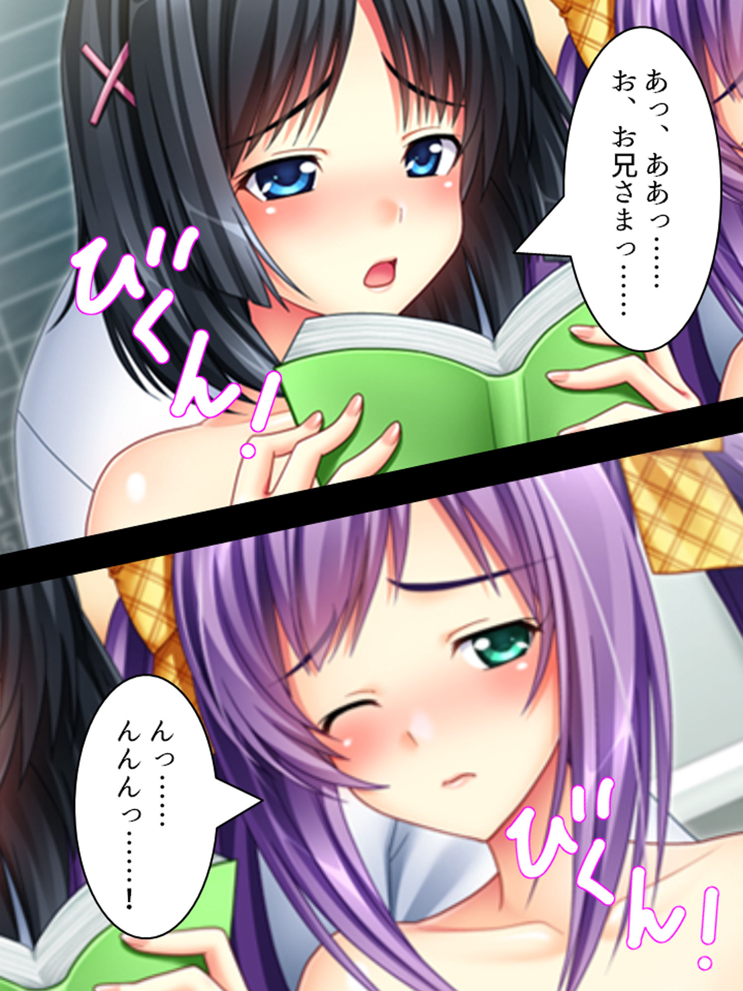 妹に欲情するなら姉で性欲を解消すればイイジャナイ 1巻