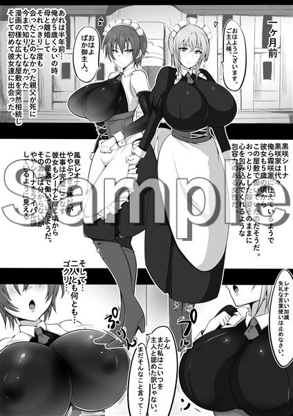 サンプル画像1:メイドラレ上(猫八営業部) [d_156383]